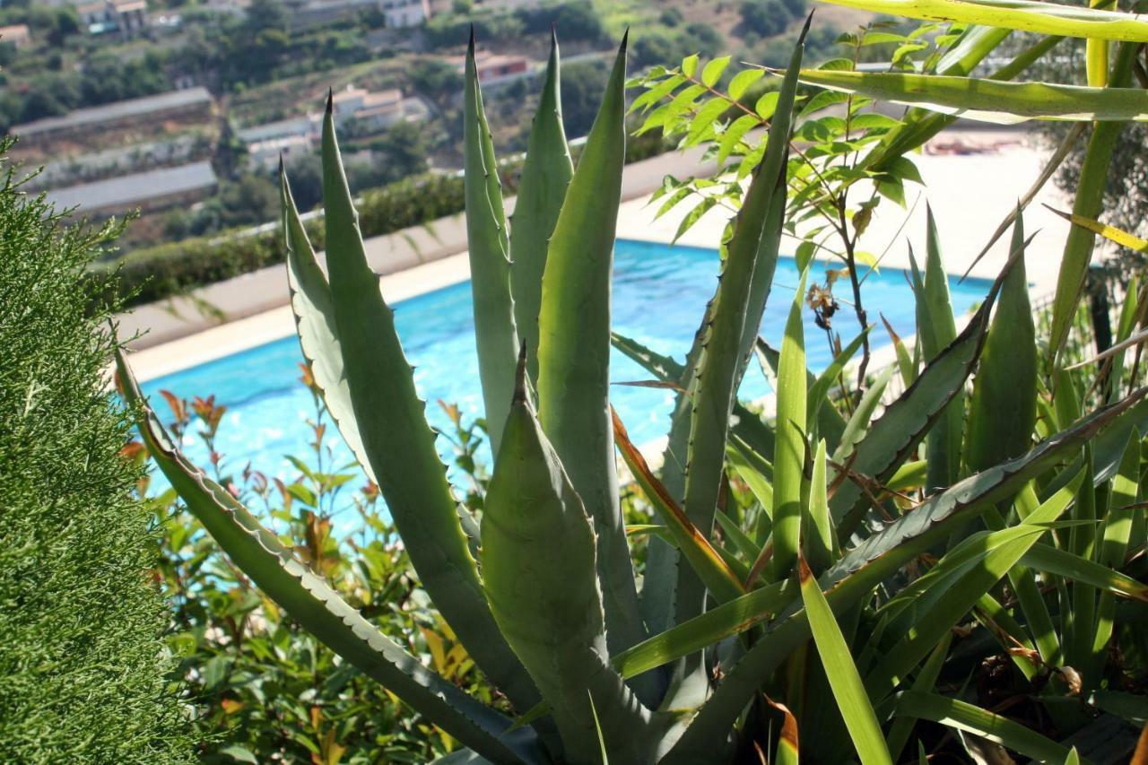 Studio Le Fabrina Riviera Nice Eksteriør bilde
